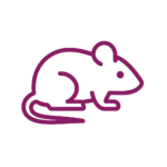 Icona viola di topo stilizzato, simbolo di derattizzazione