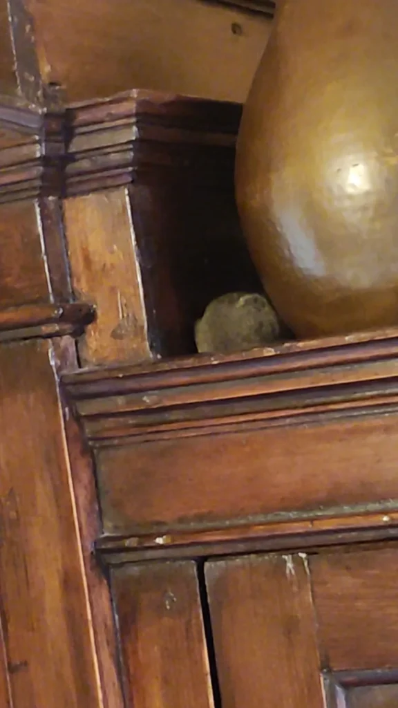 Topolino nascosto dietro un mobile in legno all’interno di un’abitazione